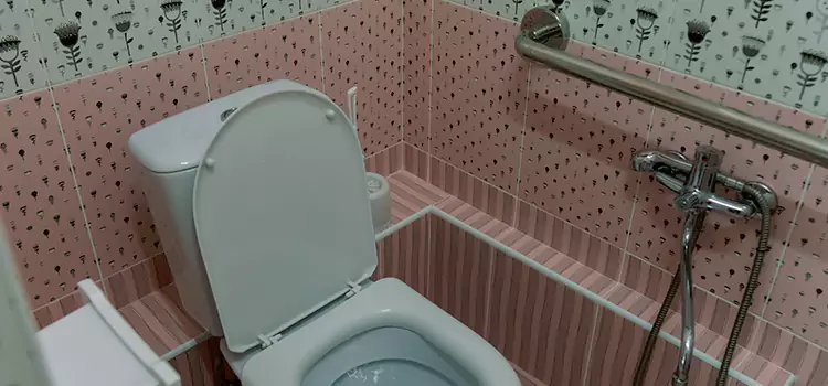 Meeting Diverse Needs With Accessible Restroom Solutions in Terre Haute, IN